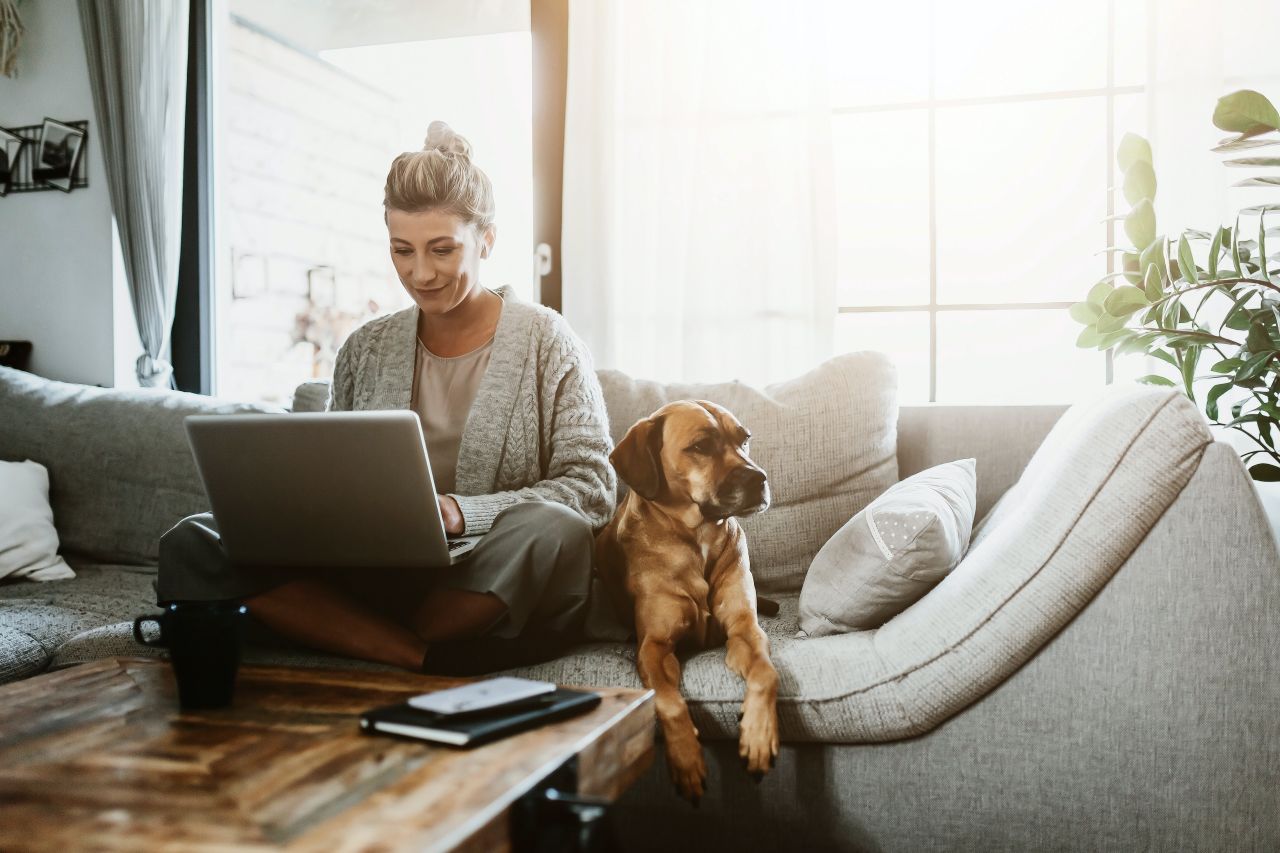 Home Office Jobs Frau mit Hund auf dem Sofa und Laptop auf dem Schoß